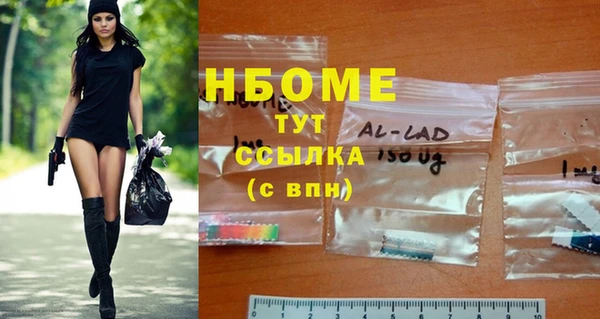 ПСИЛОЦИБИНОВЫЕ ГРИБЫ Богданович
