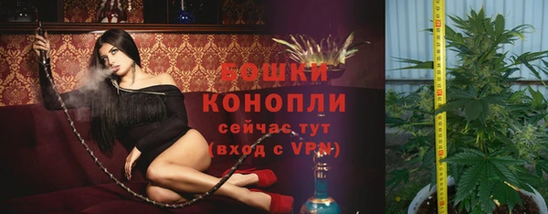 прущий лед Богородск